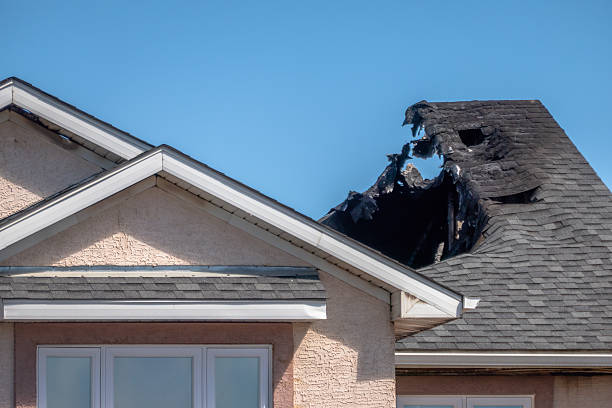 Top rated local Odor Removal specialists in Hopkins, MN